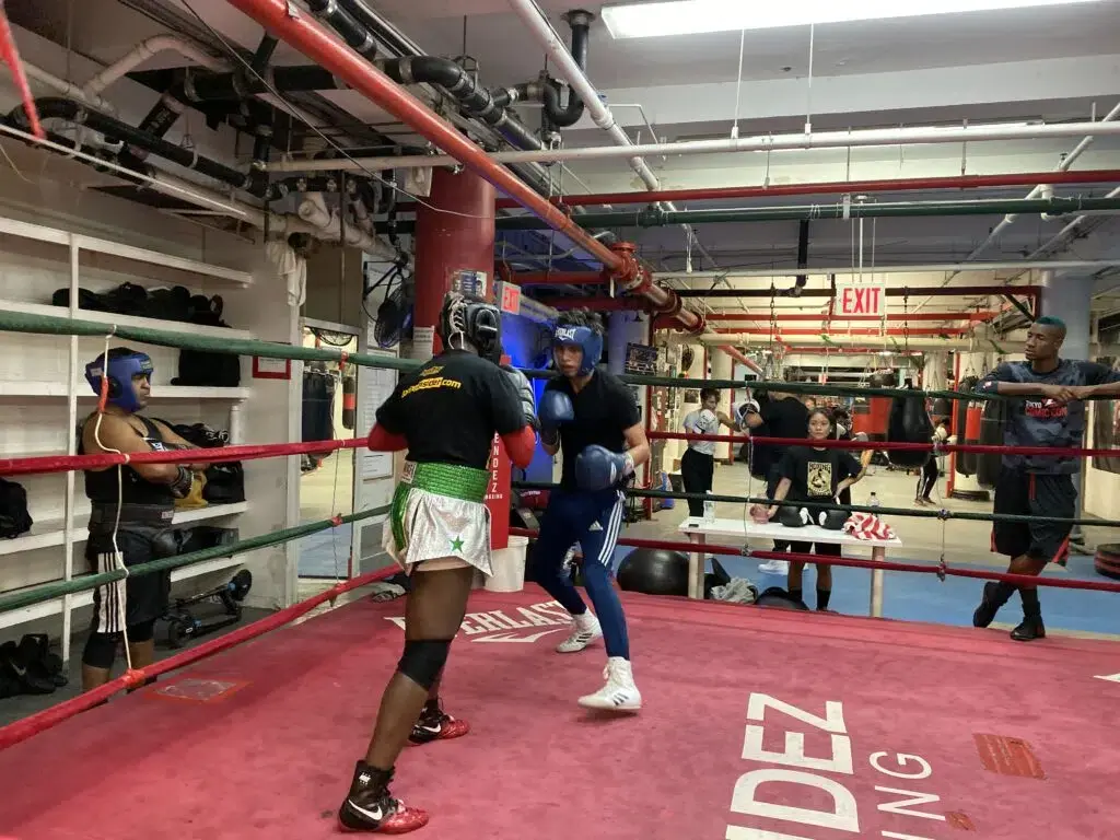 Award Winning Multi-Location Franchise Boxing Club