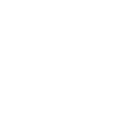 Actuarial Consulting