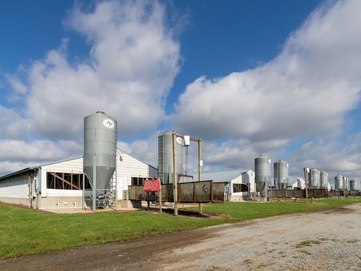 Formulated Feed Manufacturing Business Valuation & Exit Strategy Guide