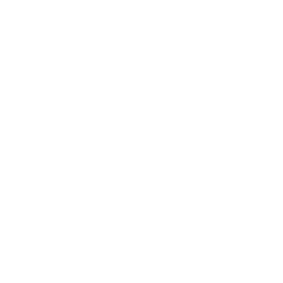 Bulk Transport