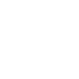 Wealth Management