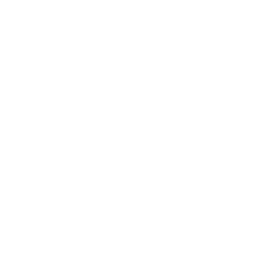 Forensic Accounting