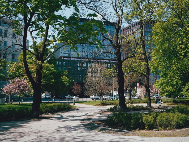 Executive Search Funds & Partners Buying Landscape Architecture Services Operations