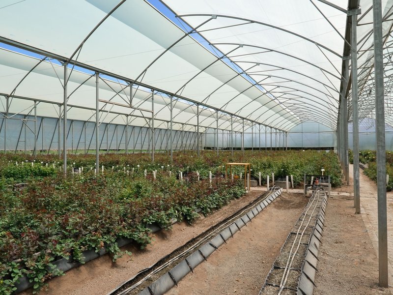 Commercial Nursery Cultivation M&A Advisor Confidential Consultation