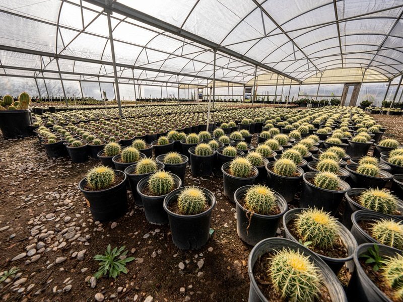 Industrial Private Equity Platforms Investing in Commercial Nursery Cultivation Businesses