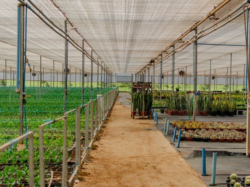 Strategic Industrial Acquirers Acquiring Commercial Nursery Cultivation Companies