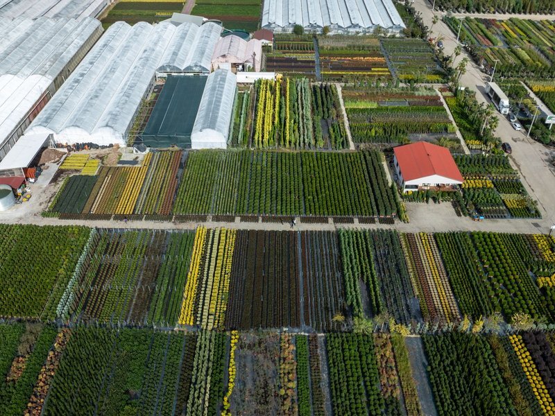 Manufacturing Search Funds & Family Offices Buying Commercial Nursery Cultivation Operations