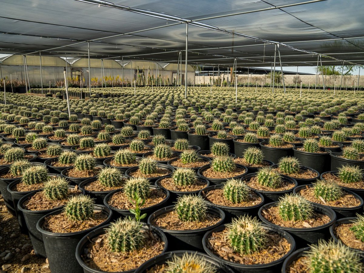 Commercial Nursery Cultivation Business Valuation & Exit Strategy Guide