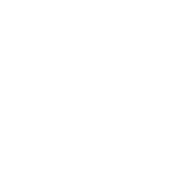 Professional Services