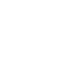 Security Systems