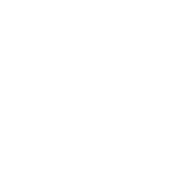 Managed IT Services