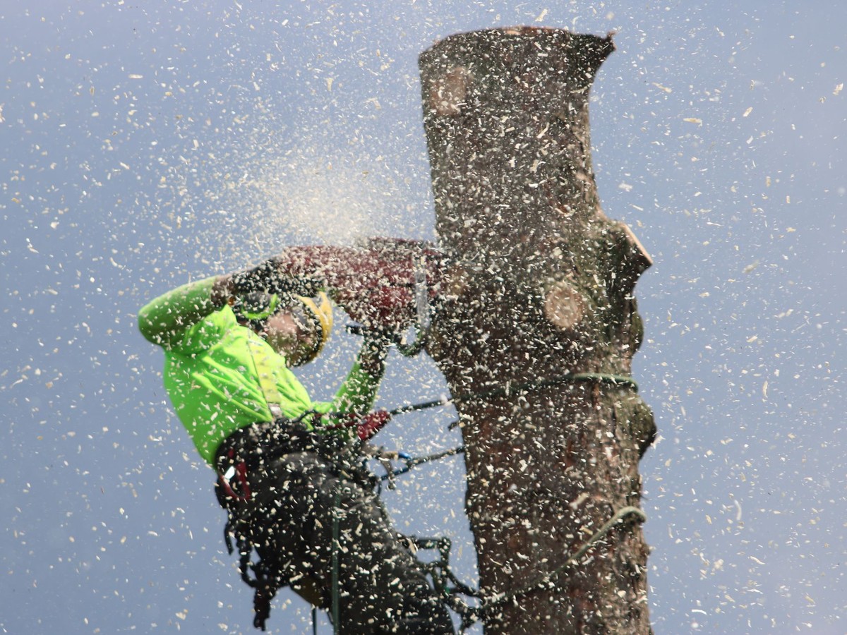 Selling a Tree Care Business