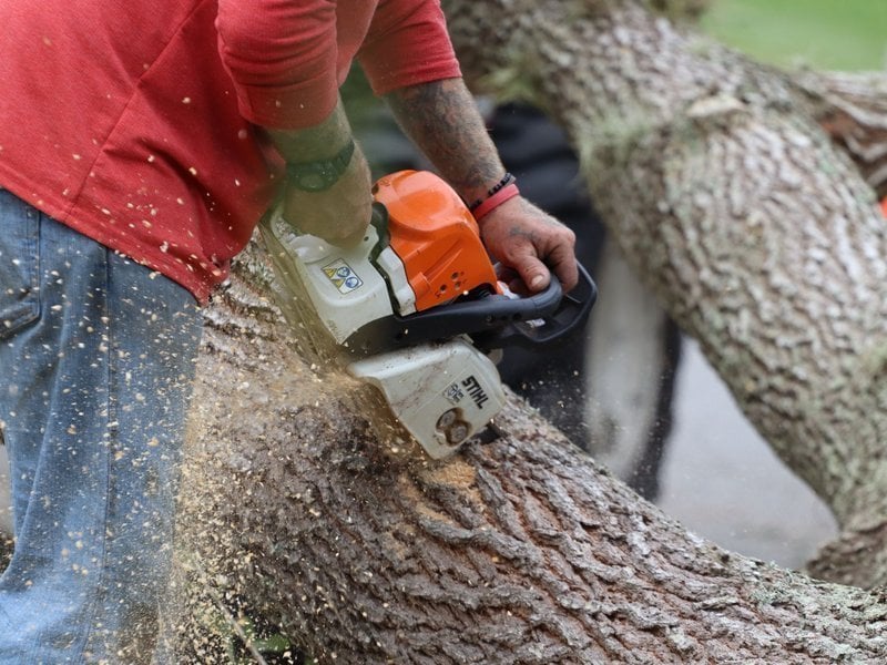 Image{width=800,height=600,url='https://www.aria.net/hubfs/industries/tree-care-arborists/aria-tree-care-arborists-transaction-closing-process.jpg',altText='',fileId=null}