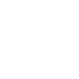 Enterprise AI
